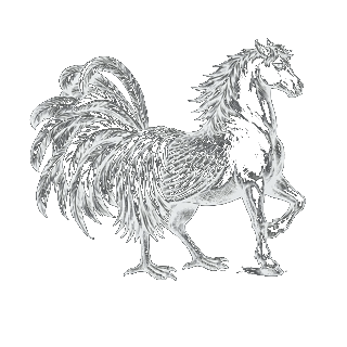 The Horsecock - a mythical creature where stallion meets celestial rooster